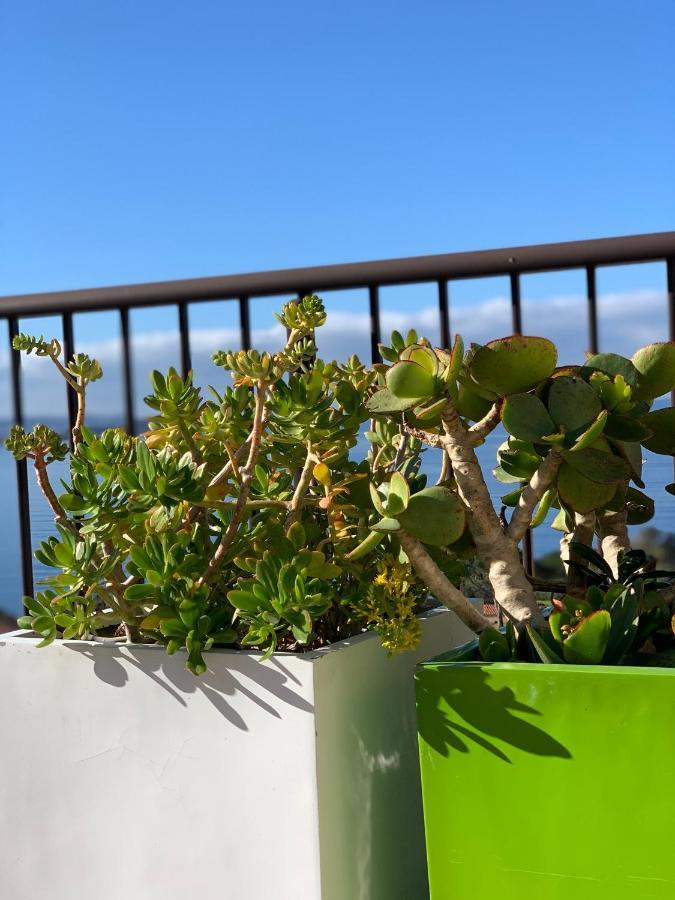 Suite Les Couchants Porticcio  Εξωτερικό φωτογραφία