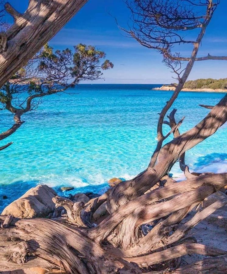 Suite Les Couchants Porticcio  Εξωτερικό φωτογραφία